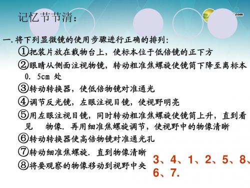 细胞的多样性和统一性第二课时
