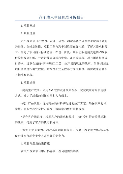 汽车线束项目总结分析报告