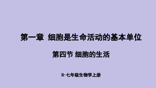 人教版生物七年级上册第二单元第一章第四节 细胞的生活3