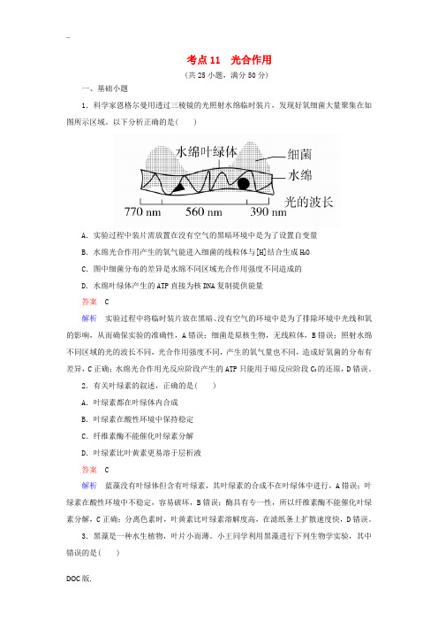 高考生物 考点11 光合作用-人教版高三全册生物试题