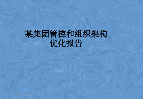 某集团管控和组织架构优化报告