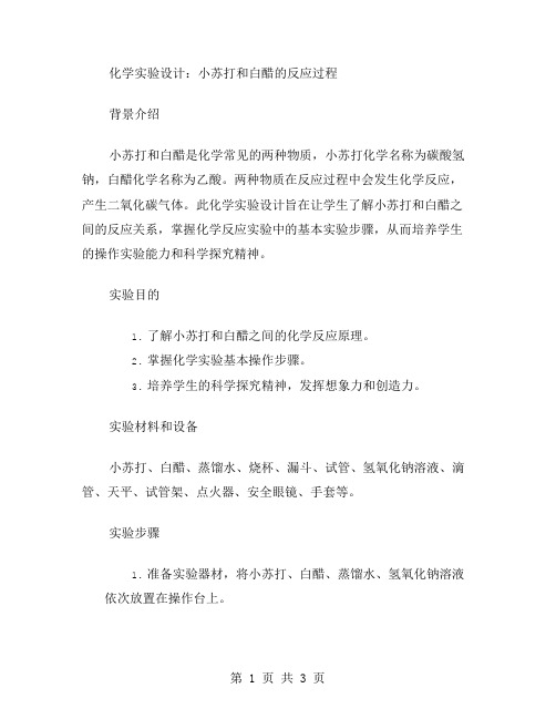 化学实验设计：小苏打和白醋的反应过程