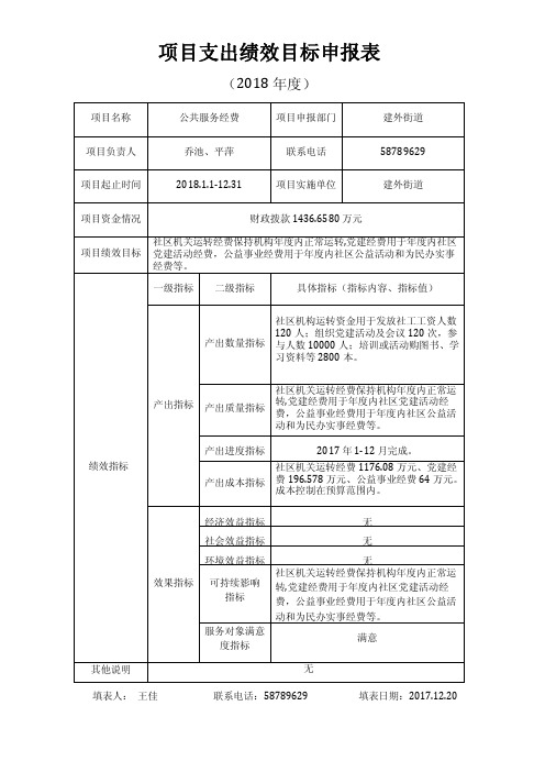 项目支出绩效目标申报表