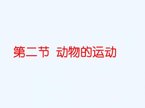 山东省高密市银鹰文昌中学七年级生物上册《动物的运动》课件 济南版