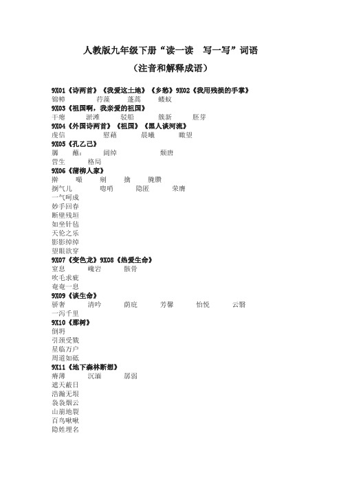 人教版九年级下册课后词语注音和解释成语