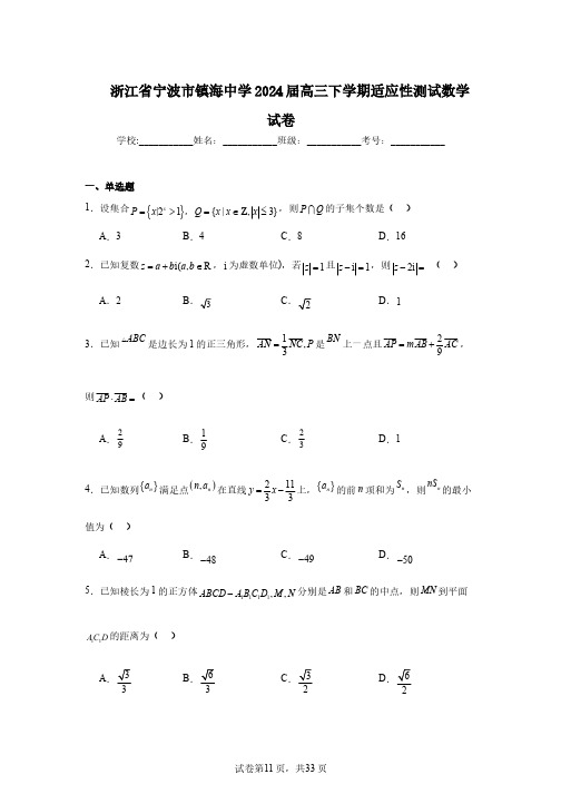 浙江省宁波市镇海中学2024届高三下学期适应性测试数学试卷