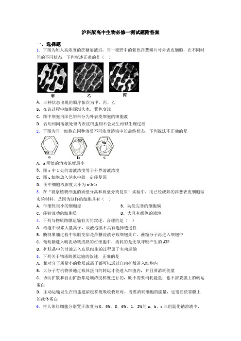 沪科版高中生物必修一测试题附答案