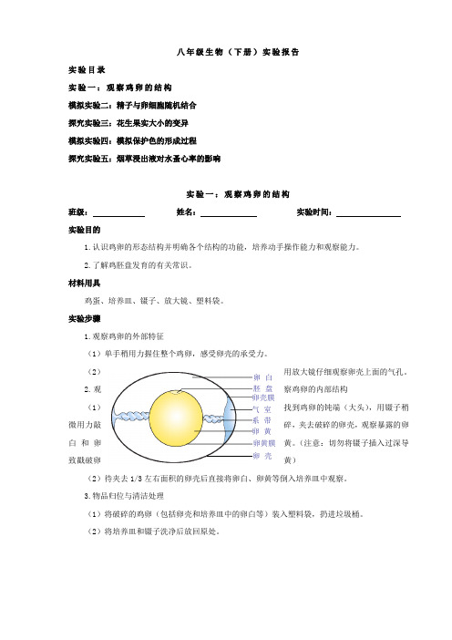 八年级生物(下册)实验报告