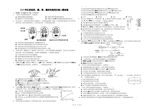 2019年江苏省苏、锡、常、镇四市高考生物二模试卷(解析版)