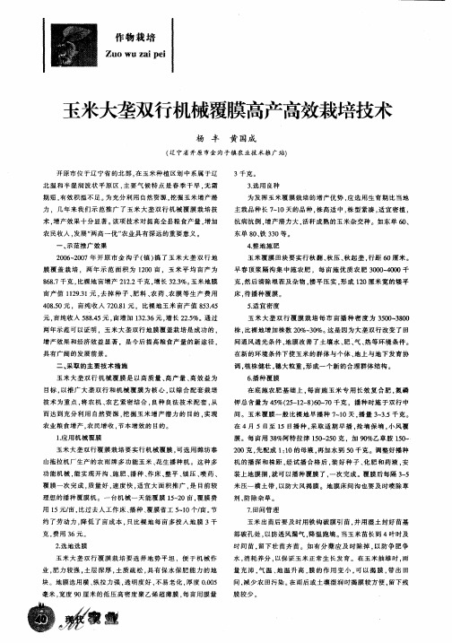 玉米大垄双行机械覆膜高产高效栽培技术