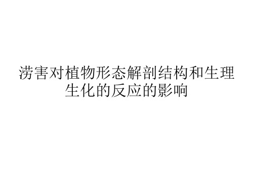 水涝胁迫对植物形态解剖结构和生理生化的影响