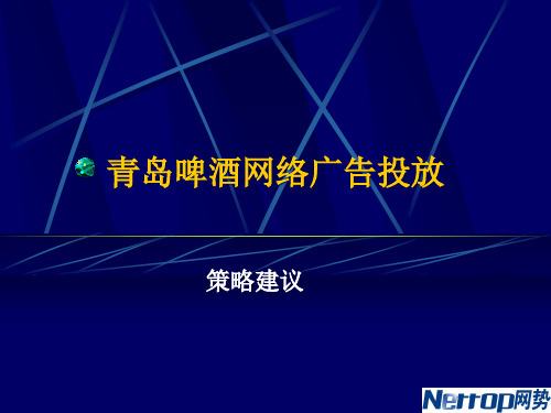 (网势)青岛啤酒网络广告投放策略建议