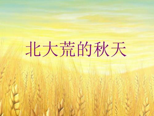 北大荒的秋天(第1课时)