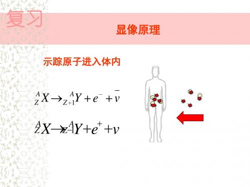 核医学诊断设备