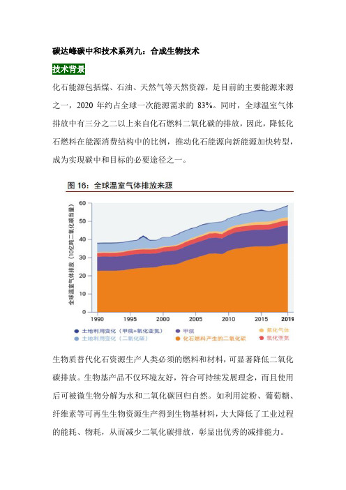 碳达峰碳中和技术系列九：合成生物技术