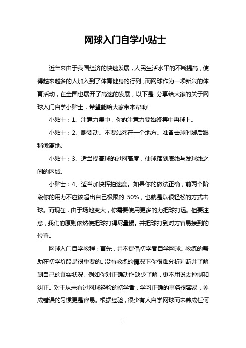 网球入门自学小贴士