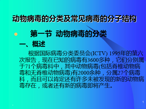 动物病毒的分类及常见病毒的分子结构PPT课件