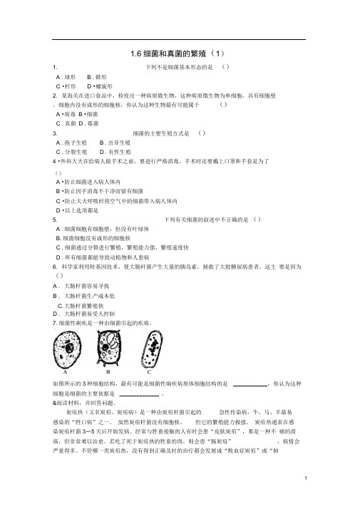 七年级科学下册1.6细菌和真菌的繁殖1同步测试新版浙教版