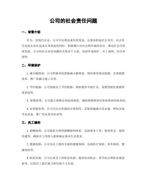 公司的社会责任问题