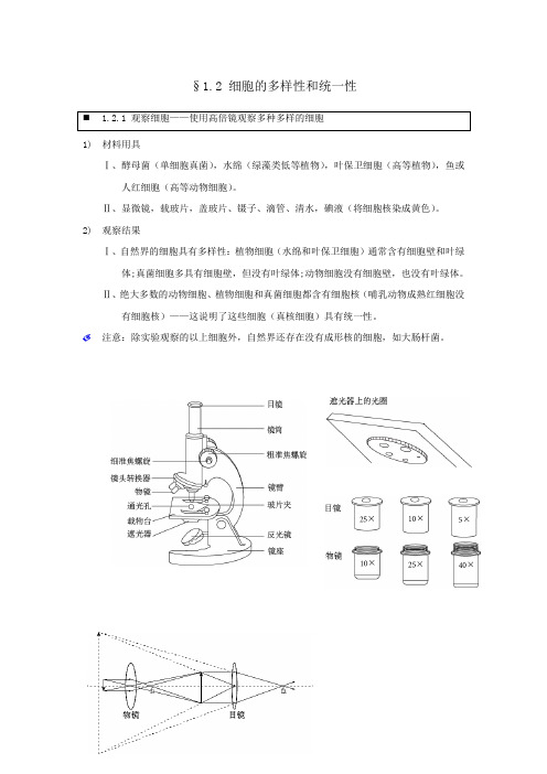 【个人珍藏版】高中人教版生物必修1学生笔记：1.2 细胞的多样性和统一性