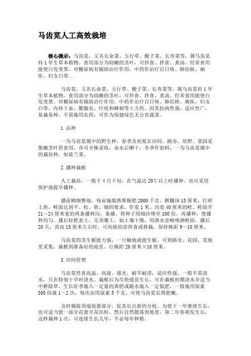 马齿苋人工高效栽培概要