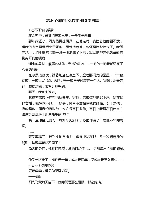 忘不了你的什么作文450字四篇