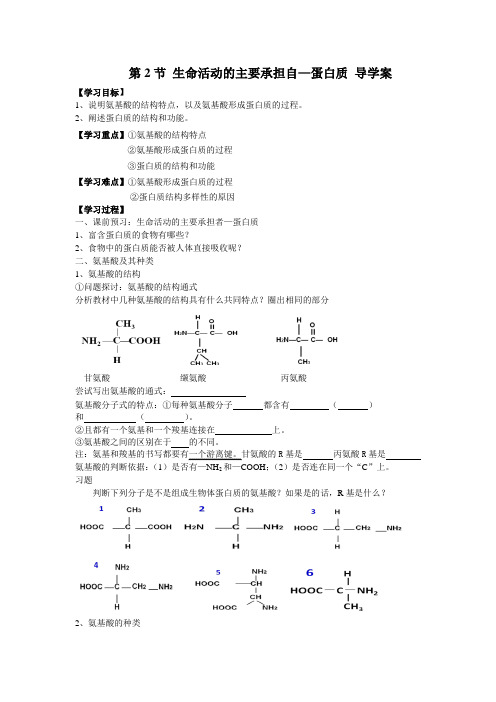 蛋白质导学案-