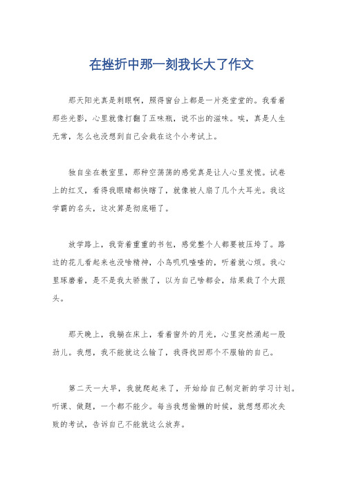 在挫折中那一刻我长大了作文