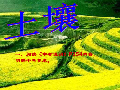 九年级科学土壤总复习(新编201911)