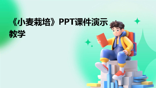 《小麦栽培》PPT课件演示教学