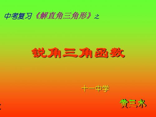 锐角三角函数复习