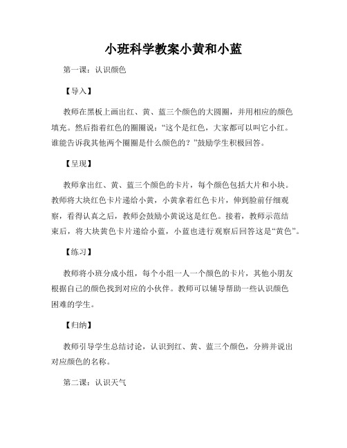 小班科学教案小黄和小蓝