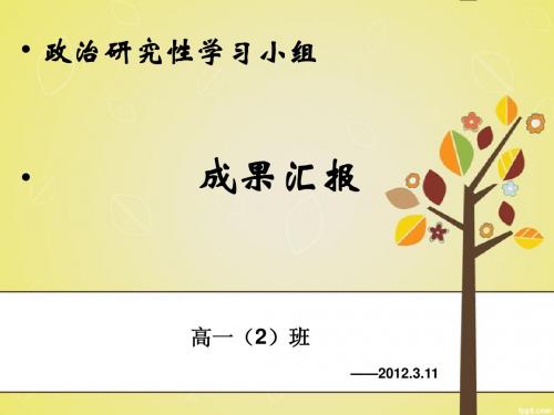 2012年研究性学习一等奖