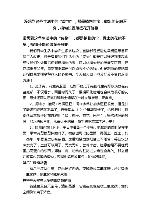 没想到这些生活中的“废物”，都是植物的宝，做出的花肥不臭，植物长得茂盛花开鲜艳