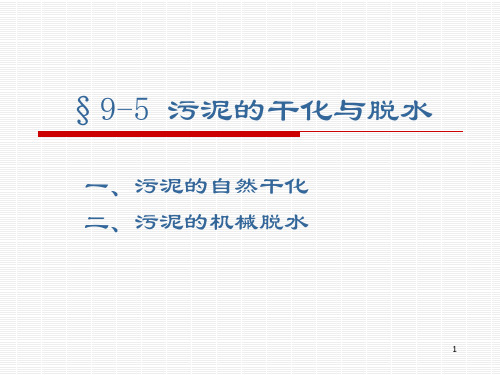 污泥的干化与脱水PPT课件