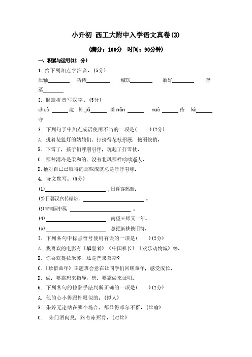 小升初 西工大附中入学语文真卷(3)