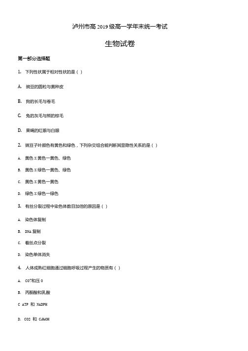 四川省泸州市2019-2020学年高一下学期期末生物题(原卷版).docx