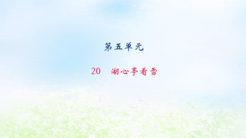 八年级语文上册第五单元20湖心亭看雪习题课件(语文版)