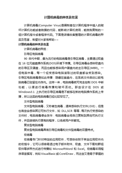 计算机病毒的种类及危害