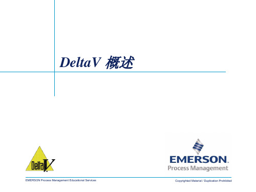 Deltav_7009中文资料