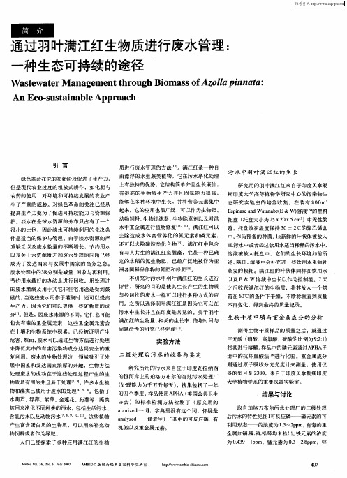 通过羽叶满江红生物质进行废水管理：一种生态可持续的途径