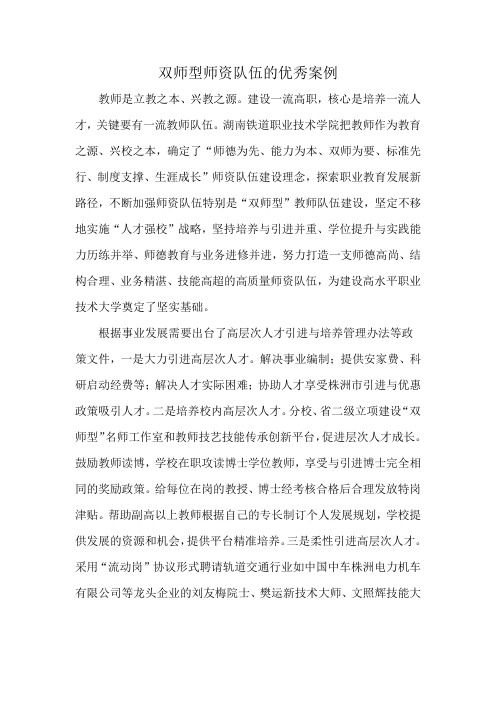 双师型师资队伍的优秀案例