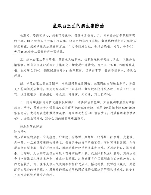 盆栽白玉兰的病虫害防治