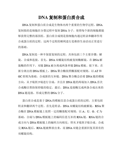 DNA复制和蛋白质合成