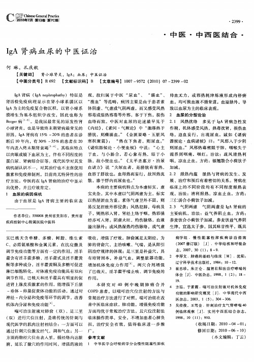 IgA肾病血尿的中医证治