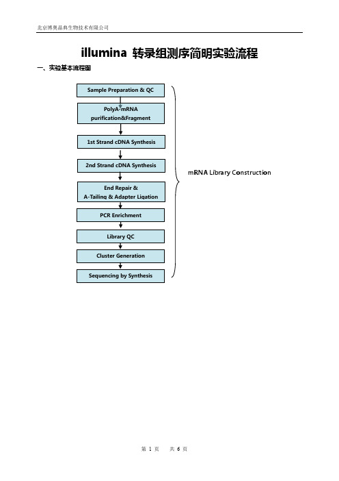 illumina 转录组测序简明实验流程(PE-oligodT NEB)