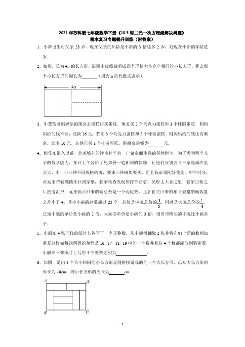 《10.5用二元一次方程组解决问题》期末复习专题提升训练苏科版七年级数学下册  