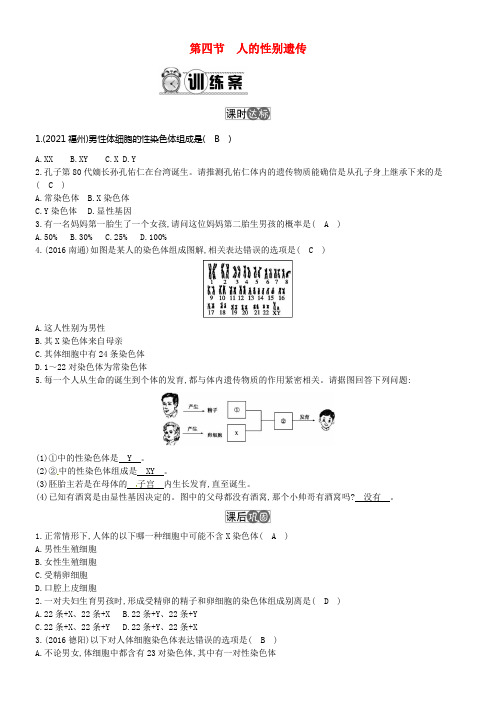 八年级生物下册第七单元第二章第四节人的性别遗传练习新版新人教版