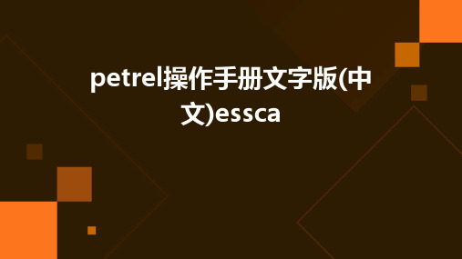 PETREL操作手册文字版(中文)essca