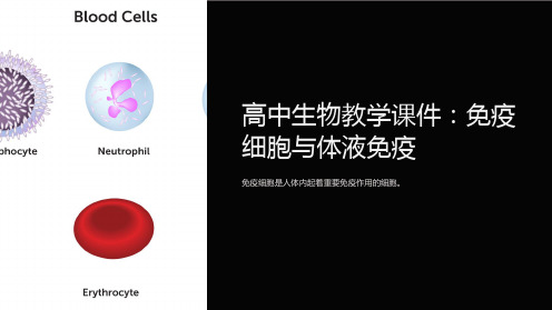 《高中生物教学课件：免疫细胞与体液免疫》